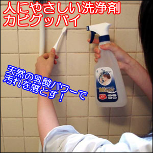 おすすめのカビとり洗浄剤.jpg